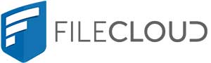 fliecloud logo